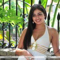 Haripriya New Photo Shoot - Pictures | Picture 115692
